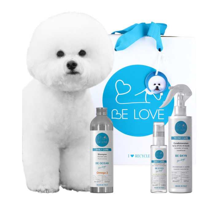 Basic bichon fur maintenance kit